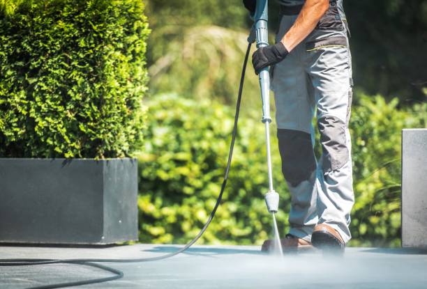 Best Factory Floor Cleaning  in Bement, IL