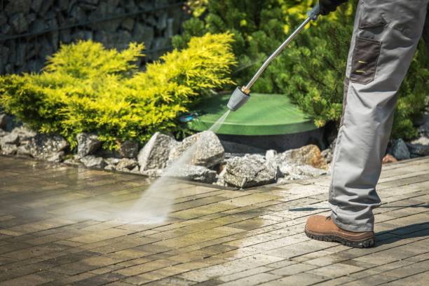 Best Animal Enclosure Cleaning  in Bement, IL