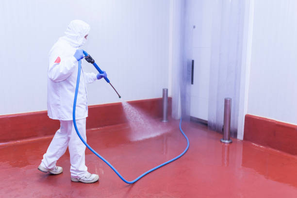 Best Concrete Sealing  in Bement, IL