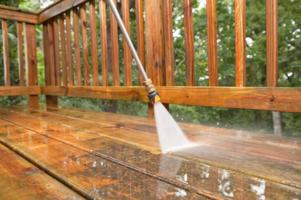 Best Roof Washing  in Bement, IL